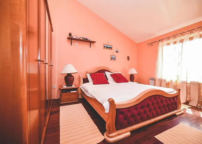 Apartman And Tacy